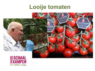 Looije tomaten
 