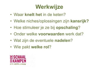 Werkwijze
• Waar knelt het in de keten?
• Welke niches/oplossingen zijn kansrijk?
• Hoe stimuleer je ze bij opschaling?
• Onder welke voorwaarden werk dat?
• Wat zijn de eventuele nadelen?
• Wie pakt welke rol?
 
