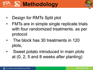 www.iita.orgA member of the CGIAR System Office
• Design for RMTs Split plot
• FMTs are in simple single replicate trials
with four randomized treatments. as per
protocol
• The block has 30 treatments in 120
plots,
• Sweet potato introduced in main plots
at (0, 2, 5 and 8 weeks after planting)
Methodology
 