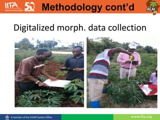 www.iita.orgA member of the CGIAR System Office
Digitalized morph. data collection
Methodology cont’d
 
