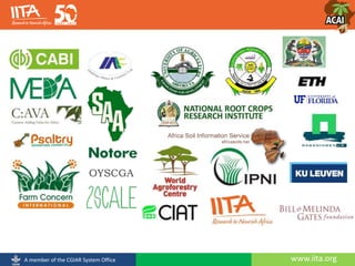 www.iita.orgA member of the CGIAR System Office
OYSCGA
 
