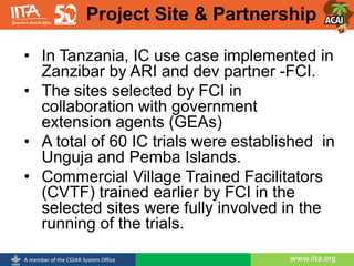 www.iita.orgA member of the CGIAR System Office
• In Tanzania, IC use case implemented in
Zanzibar by ARI and dev partner -FCI.
• The sites selected by FCI in
collaboration with government
extension agents (GEAs)
• A total of 60 IC trials were established in
Unguja and Pemba Islands.
• Commercial Village Trained Facilitators
(CVTF) trained earlier by FCI in the
selected sites were fully involved in the
running of the trials.
Project Site & Partnership
 