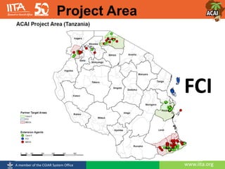 www.iita.orgA member of the CGIAR System Office
FCI
Project Area
 