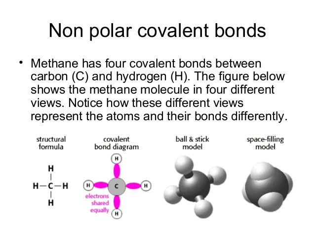 Ch4 Polar Or Nonpolar Covalent Bond : PPT - The Chemistry of Life ...