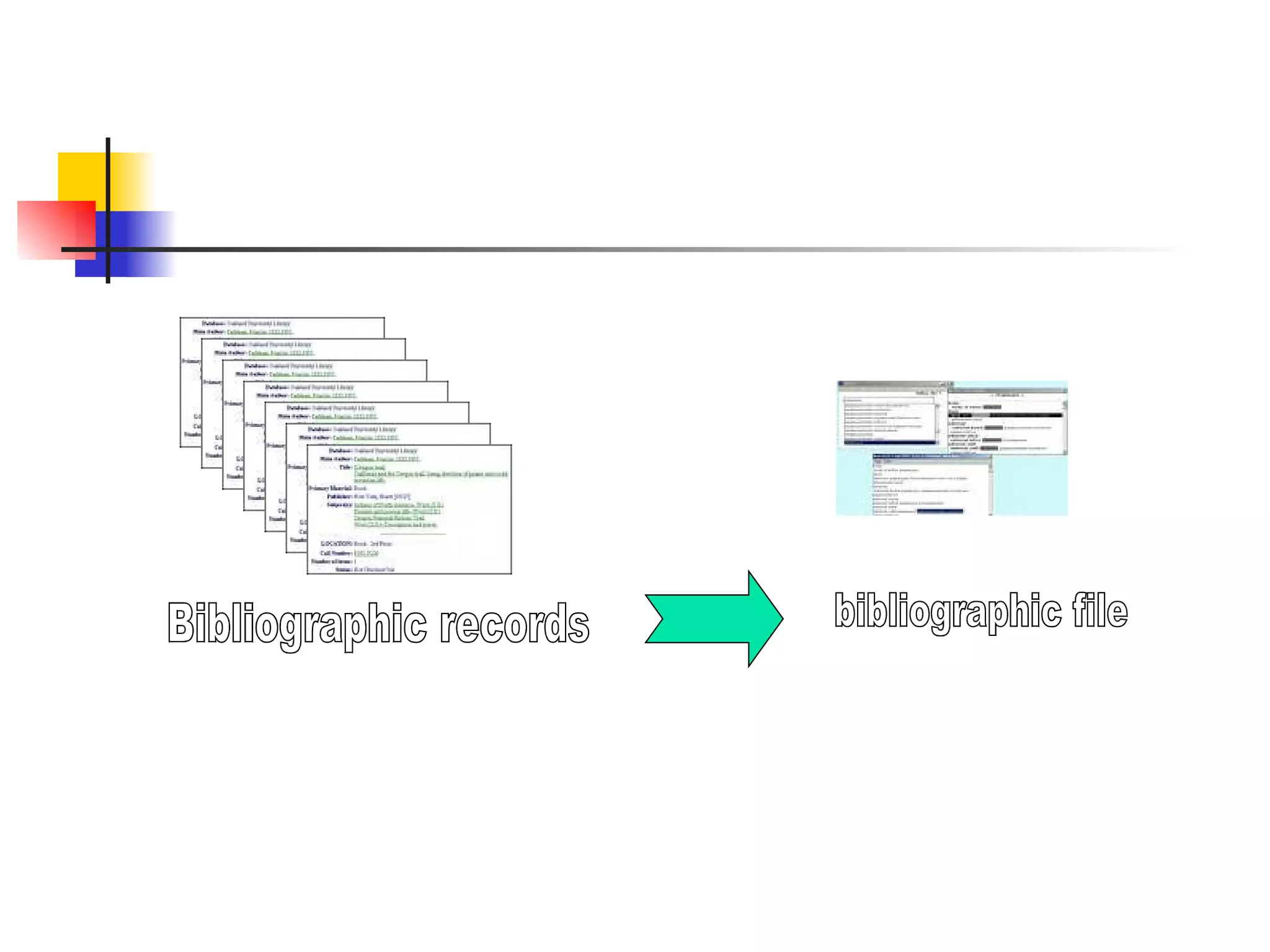 Bibliographic records bibliographic file 