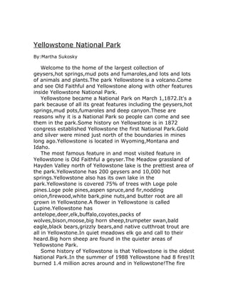 Yellowstone National Park
By:Martha Sukosky

    Welcome to the home of the largest collection of
geysers,hot springs,mud pots and fumaroles,and lots and lots
of animals and plants.The park Yellowstone is a volcano.Come
and see Old Faithful and Yellowstone along with other features
inside Yellowstone National Park.
    Yellowstone became a National Park on March 1,1872.It's a
park because of all its great features including the geysers,hot
springs,mud pots,fumaroles and deep canyon.These are
reasons why it is a National Park so people can come and see
them in the park.Some history on Yellowstone is in 1872
congress established Yellowstone the first National Park.Gold
and silver were mined just north of the boundaries in mines
long ago.Yellowstone is located in Wyoming,Montana and
Idaho.
    The most famous feature in and most visited feature in
Yellowstone is Old Faithful a geyser.The Meadow grassland of
Hayden Valley north of Yellowstone lake is the prettiest area of
the park.Yellowstone has 200 geysers and 10,000 hot
springs.Yellowstone also has its own lake in the
park.Yellowstone is covered 75% of trees with Loge pole
pines.Loge pole pines,aspen spruce,and fir,nodding
onion,firewood,white bark,pine nuts,and butter root are all
grown in Yellowstone.A flower in Yellowstone is called
Lupine.Yellowstone has
antelope,deer,elk,buffalo,coyotes,packs of
wolves,bison,moose,big horn sheep,trumpeter swan,bald
eagle,black bears,grizzly bears,and native cutthroat trout are
all in Yellowstone.In quiet meadows elk go and call to their
heard.Big horn sheep are found in the quieter areas of
Yellowstone Park.
    Some history of Yellowstone is that Yellowstone is the oldest
National Park.In the summer of 1988 Yellowstone had 8 fires!It
burned 1.4 million acres around and in Yellowstone!The fire
 