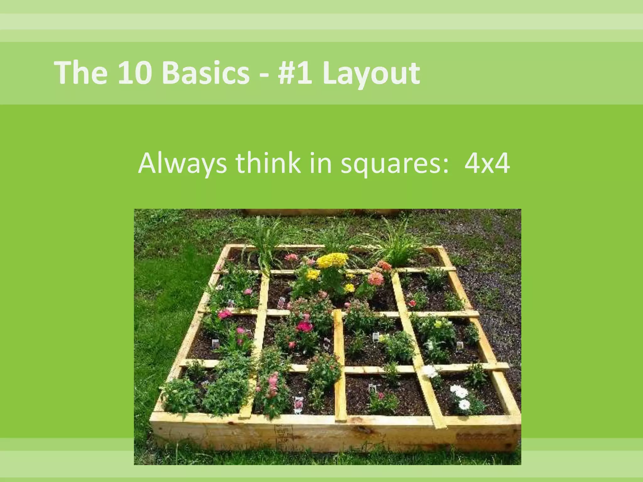 Non-Profit Foundation