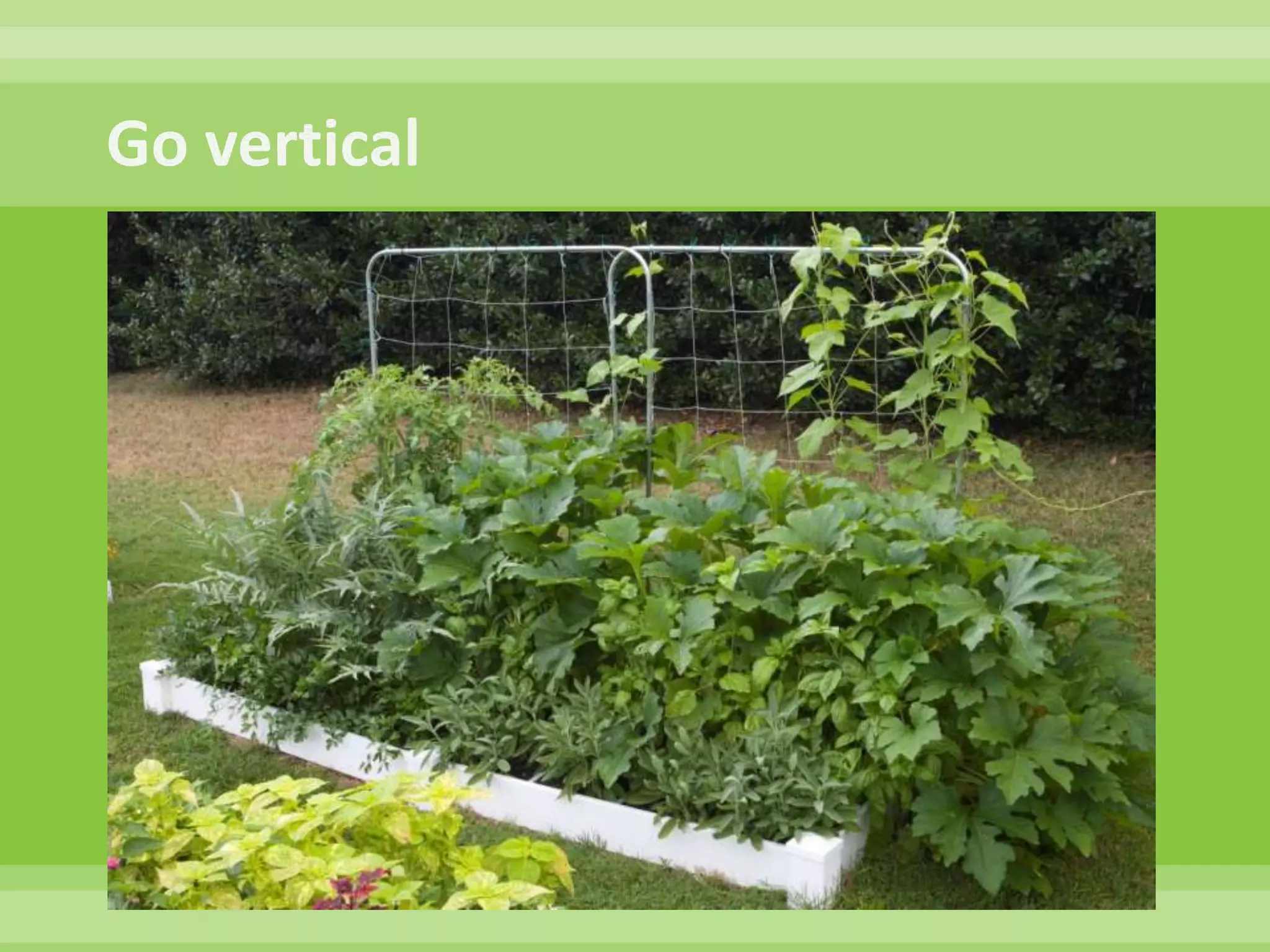 #10 - HarvestHarvest continually.  Add additional compost and replant empty squares with a new crop.