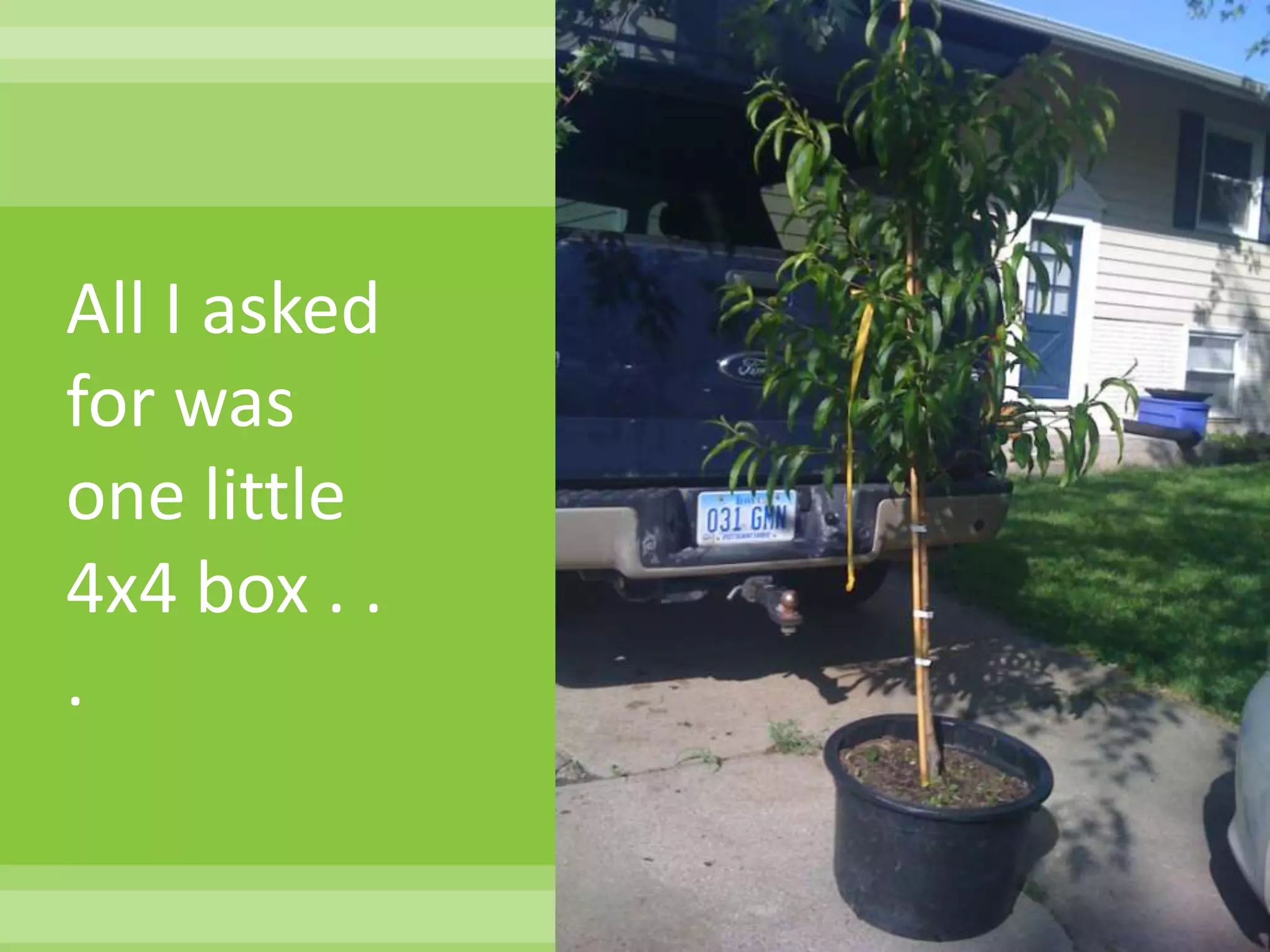 My Garden – 2nd YearI asked for ONE 4x4 box. . . 