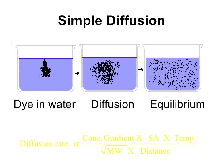 Introduction to body fluid & cell membrane