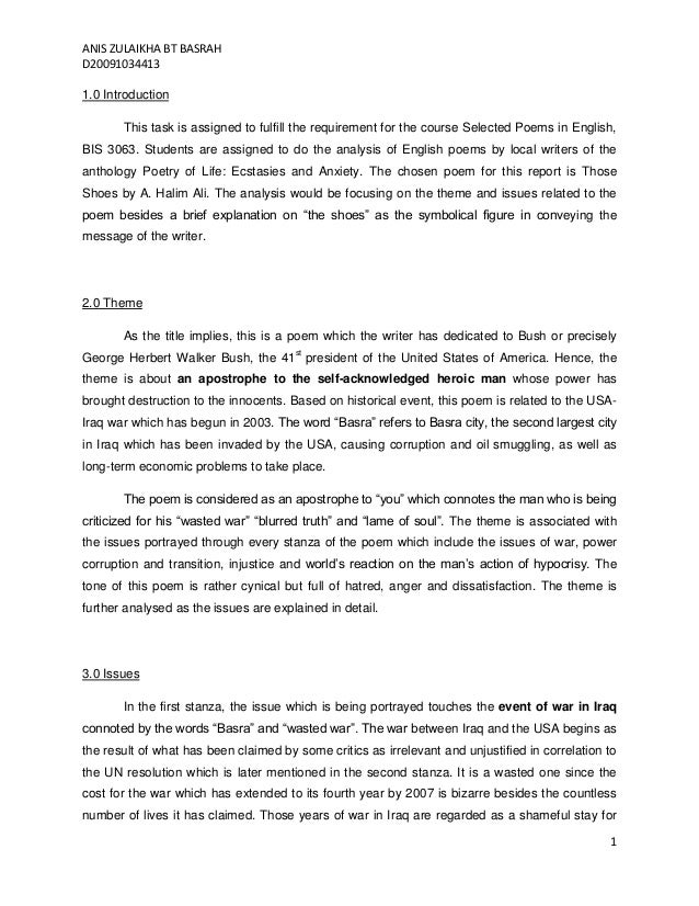 Descriptive essay on iraq