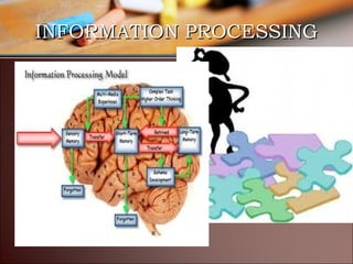 INFORMATION PROCESSING

 