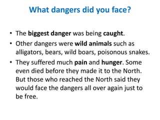 What dangers did you face?
• The biggest danger was being caught.
• Other dangers were wild animals such as
alligators, bears, wild boars, poisonous snakes.
• They suffered much pain and hunger. Some
even died before they made it to the North.
But those who reached the North said they
would face the dangers all over again just to
be free.
 