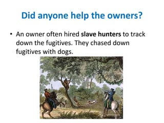 Did anyone help the owners?
• An owner often hired slave hunters to track
down the fugitives. They chased down
fugitives with dogs.
 