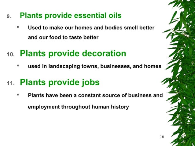 Introduction To Principles Of Plant Physiology