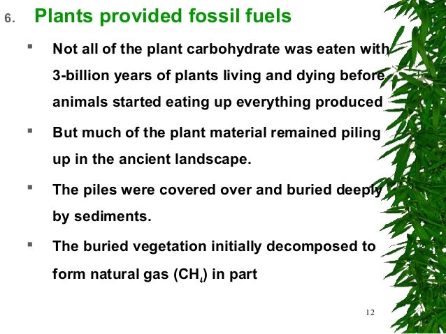 Introduction To Principles Of Plant Physiology
