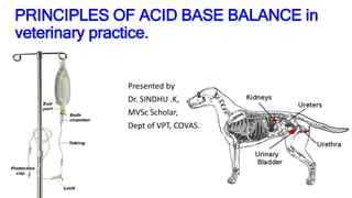 PRINCIPLES OF ACID BASE BALANCE in
veterinary practice.
Presented by
Dr. SINDHU .K,
MVSc Scholar,
Dept of VPT, COVAS.
 