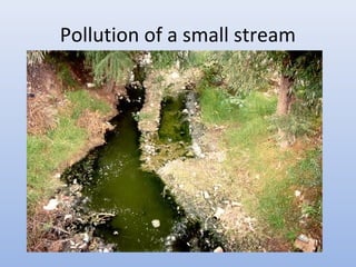 Pollution of a small stream 
 