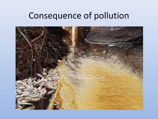 Consequence of pollution 
 