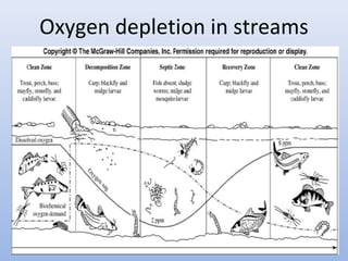 Oxygen depletion in streams 
 
