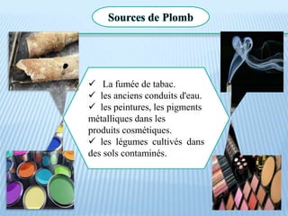 Sources de Plomb
 La fumée de tabac.
 les anciens conduits d'eau.
 les peintures, les pigments
métalliques dans les
produits cosmétiques.
 les légumes cultivés dans
des sols contaminés.
 