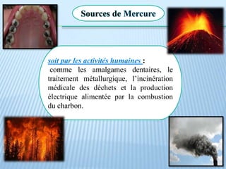 Sources de Mercure
soit naturellement :
les volcans, les sols, les zones
géologiques riches en mercure
ainsi que les eaux douces, les
plantes, les feux de forêt.
soit par les activités humaines :
comme les amalgames dentaires, le
traitement métallurgique, l’incinération
médicale des déchets et la production
électrique alimentée par la combustion
du charbon.
 