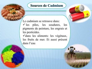 Sources de Cadmium
Le cadmium se retrouve dans:
 les piles, les soudures, les
pigments de peinture, les engrais et
les pesticides.
dans les aliments: les végétaux,
les fruits de mer. Et aussi présent
dans l’eau
 