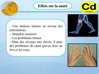 Effets sur la santé
- Une douleur intense au niveau des
articulations
- Maladies osseuses
- Les problèmes rénaux
- Dans des niveaux très élevés, il pose
des problèmes de santé graves liées au
foie et les reins.
 