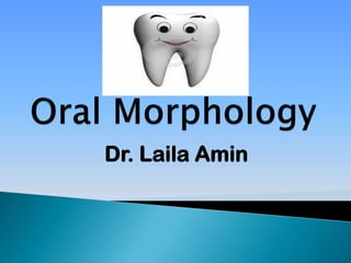 Dr. Laila Amin
 