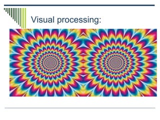 Visual processing:
 