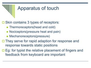 Apparatus of touch
 Skin contains 3 types of receptors:
 Thermoreceptors(head and cold)
 Nociceptors(pressure heat and pain)
 Mechanoreceptors(pressure)
 They serve for rapid adaption for response and
response towards static positions
 Eg: for typist the relative placement of fingers and
feedback from keyboard are important
 