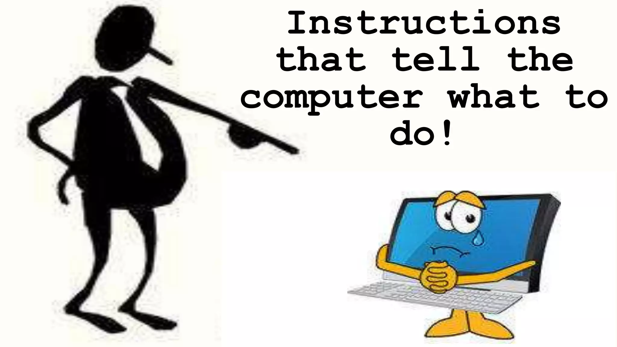 Instructions that tell the computer what to do! 