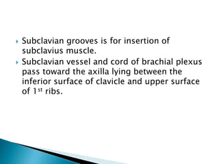  Subclavian grooves is for insertion of
subclavius muscle.
 Subclavian vessel and cord of brachial plexus
pass toward the axilla lying between the
inferior surface of clavicle and upper surface
of 1st ribs.
 