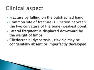  Fracture by falling on the outstreched hand
 Common site of fracture is junction between
the two curvature of the bone (weakest point)
 Lateral fragment is displaced downward by
the weight of limbs
 Cliedocranial dysostosis , clavicle may be
congenitally absent or imperfectly developed
 