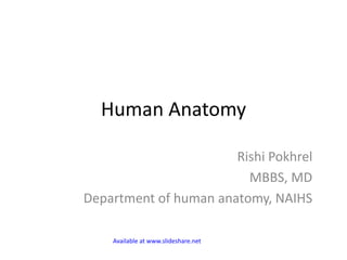 Human Anatomy
Rishi Pokhrel
MBBS, MD
Department of human anatomy, NAIHS
Available at www.slideshare.net
 