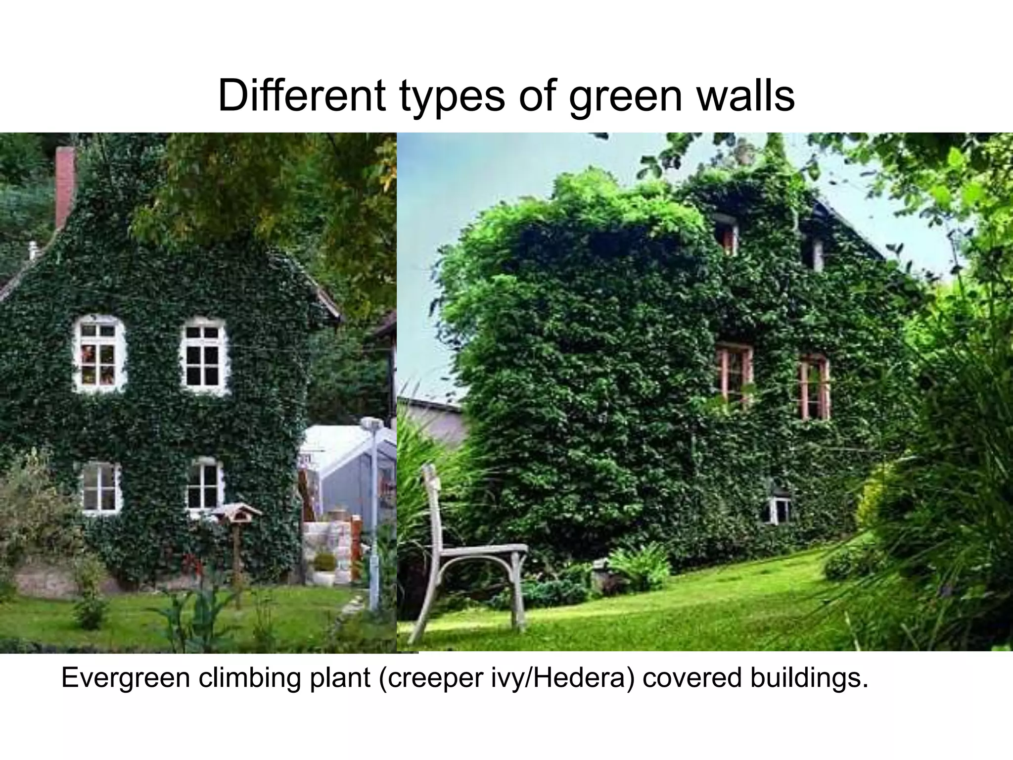 Photo inspiration: Fresh Look at Green Roofs And Green Walls Introduction