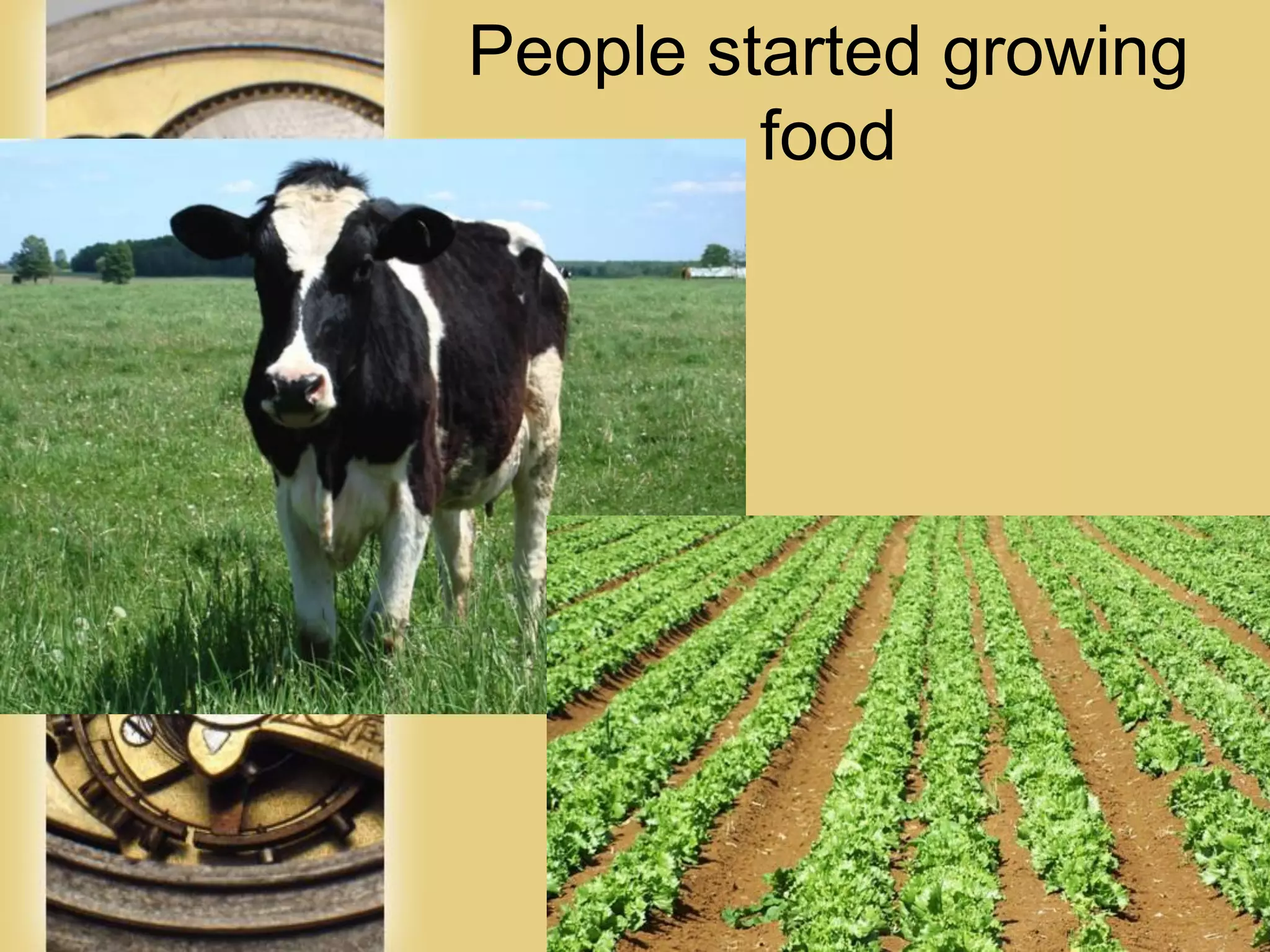 Page 9
People started growing
food
 