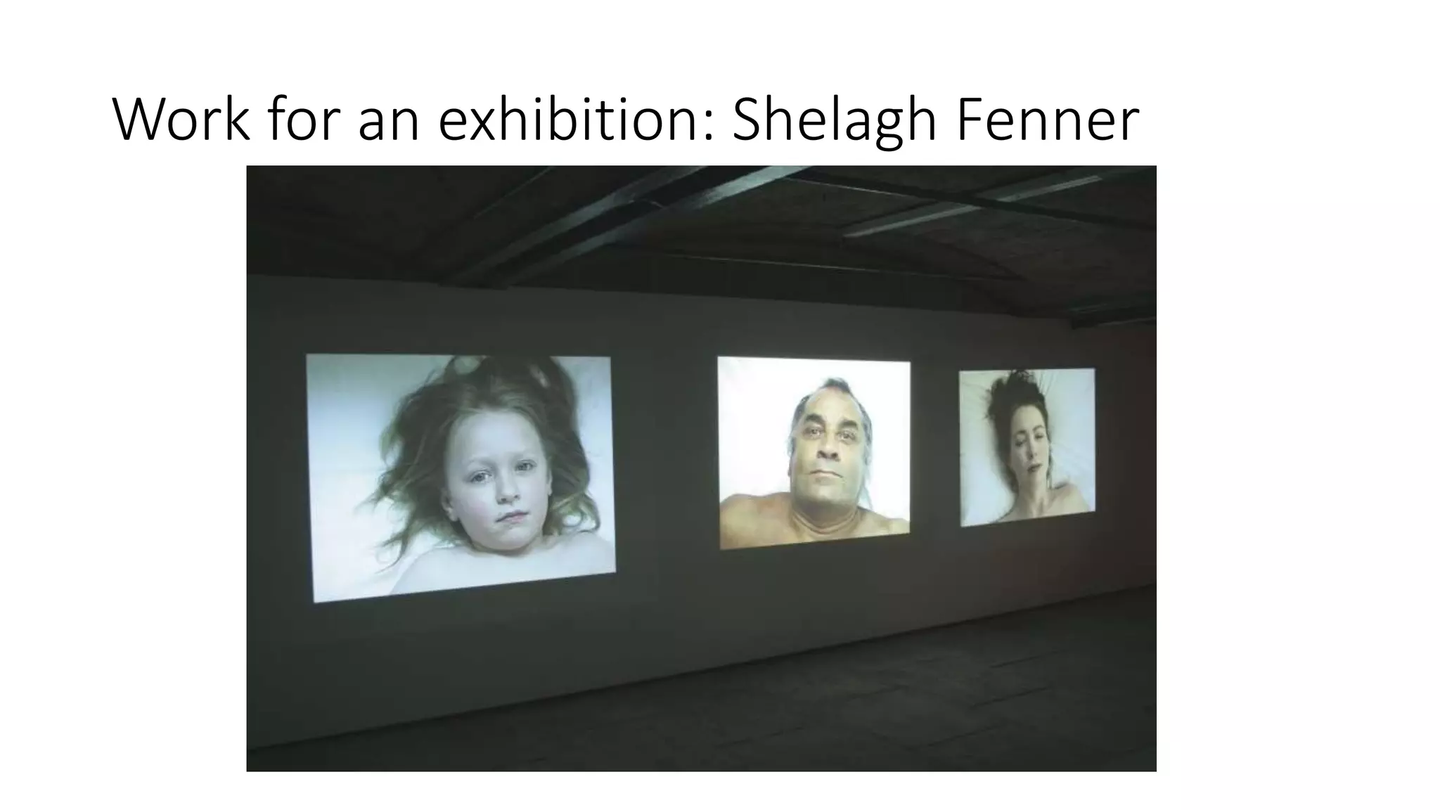 Work for an exhibition: Shelagh Fenner
 