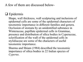 A few of them are discussed below-
 Epidermis
Shape, wall thickness, wall sculpturing and inclusions of
epidermal cells are some of the epidermal characters of
taxonomic importance in different families and genera.
Occlusion of stomata by an unidentified substance in
Winteraceae, papillate epidermal cells in Graminae,
presence and distribution of silica bodies in Cyperaceae,
sclerification of the wall of the epidermal cells in
stylidiaceae are some of the characters of useful
taxonomic importance.
Sharma and Shiam (1984) described the taxonomic
importance of silica bodies in 22 Indian species of
Cyperus.
 