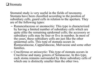 Stomata
Stomatal study is very useful in the fields of taxonomy.
Stomata have been classified according to the position of
subsidiary cells, guard cells in relation to the aperture. They
are of the following types:
– Ranunculaceous or anomocitic: This type is characterized
by having a limited number of subsidiary cells which are
quite alike the remaining epidermal cells; the accessory or
subsidiary cells may be four or five in number. In most of
the cases, these subsidiary cells are just like the other
epidermal cells. This type of stomata occurs in
Rannuculaceae, Capparidaceae, Malvaceae and some other
families.
– Cruciferous or anisocytic: This type of stomata occurs in
Cruciferae and many genera of Solanaceae. In this type,
each stoma remains surrounded by three subsidiary cells of
which one is distinctly smaller than the other two.
 