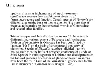  Trichomes
Epidermal hairs or trichomes are of much taxonomic
significance because they exhibit great diversity of
form,size,structure and function. Certain species of Vernonia are
differentiated on the basis of their trichomes. They are also of
great value in analysing the suspected hybrids of Compositae
and several other families.
Trichome types and their distribution are useful characters in
distinguishing various genera of Fabaceae and Icacinaceae.
Position of Nyctantbes in Oleaceae has been confirmed by
Inamdar (1967) on the basis of structure and ontogeny of
trichomes. Species of Digitalis have been divided into two
groups mainly on the basis of presence or absence of glandular
hairs. Species in various genera of Labiatae are also separated on
the basis of presence or absence of glandular hairs. Trichomes
have been the main basis of the formation of generic key for the
Indian members of Compositae (Ramayya, 1969).
 