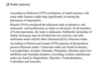  Nodal anatomy
According to Dickison (1975) correlations of nodal anatomy with
some other features might help significantly in tracing the
phylogeny of angiosperm .
Sinnott (1914) considered the trilacunar node as primitive, and
unilacunar and multilacunar as nodes as advanced . In all members
of Centrospermales, the node is unilacunar. Subfamily lacinoidae of
family lacinaceae may be divided into two sections, one with
unilacunar nodes and the other characterized by trilacunar nodes.
According to Paliwal and Anand (1978) majority of dicotyledons
possess trilacunar nodes. Unilacunar nodes are found in laurales,
Carryophyllales, Ericales, Ebenales, Primulales, Myrtales and a few
tubiflorae and Asteridae members.According to them, multilacunar
nodes are found in Magnoliales, Piperales, Trochodendrales,
Umbellales and Asterales.
 