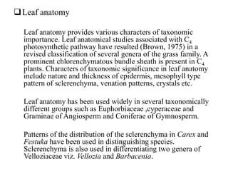 Leaf anatomy
Leaf anatomy provides various characters of taxonomic
importance. Leaf anatomical studies associated with C4
photosynthetic pathway have resulted (Brown, 1975) in a
revised classification of several genera of the grass family. A
prominent chlorenchymatous bundle sheath is present in C4
plants. Characters of taxonomic significance in leaf anatomy
include nature and thickness of epidermis, mesophyll type
pattern of sclerenchyma, venation patterns, crystals etc.
Leaf anatomy has been used widely in several taxonomically
different groups such as Euphorbiaceae ,cyperaceae and
Graminae of Angiosperm and Coniferae of Gymnosperm.
Patterns of the distribution of the sclerenchyma in Carex and
Festuka have been used in distinguishing species.
Sclerenchyma is also used in differentiating two genera of
Velloziaceae viz. Vellozia and Barbacenia.
 