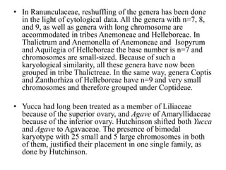 • In Ranunculaceae, reshuffling of the genera has been done
in the light of cytological data. All the genera with n=7, 8,
and 9, as well as genera with long chromosome are
accommodated in tribes Anemoneae and Helleboreae. In
Thalictrum and Anemonella of Anemoneae and Isopyrum
and Aquilegia of Helleboreae the base number is n=7 and
chromosomes are small-sized. Because of such a
karyological similarity, all these genera have now been
grouped in tribe Thalictreae. In the same way, genera Coptis
and Zanthorhiza of Helleboreae have n=9 and very small
chromosomes and therefore grouped under Coptideae.
• Yucca had long been treated as a member of Liliaceae
because of the superior ovary, and Agave of Amaryllidaceae
because of the inferior ovary. Hutchinson shifted both Yucca
and Agave to Agavaceae. The presence of bimodal
karyotype with 25 small and 5 large chromosomes in both
of them, justified their placement in one single family, as
done by Hutchinson.
 