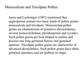 Monosulcate and Tricolpate Pollen:
Jones and Luchsinger (1987) mentioned that
angiosperms contain two basic kinds of pollen grains:
monosulcate and tricolpate. Monosuclate pollen
grains are characteristic of primitive dicotyledones,
several monocotyledone, pteridosperms and cycades.
Such pollen grains are boat shaped in outline and
possess one long germinal furrow and germinal
aperture. Tricolpate pollen grains are charactertic of
advanced dicotyledons. Such pollen grains have three
germinal apertures and are globose in shape.
 