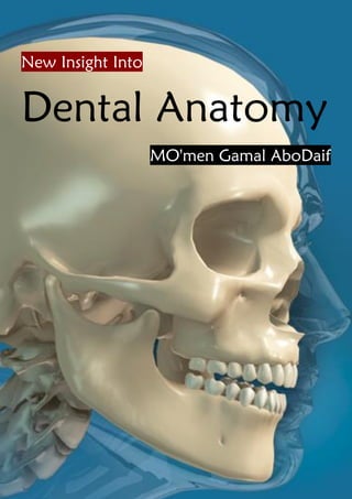 New Insight Into
Dental Anatomy
MO'men Gamal AboDaif
 
