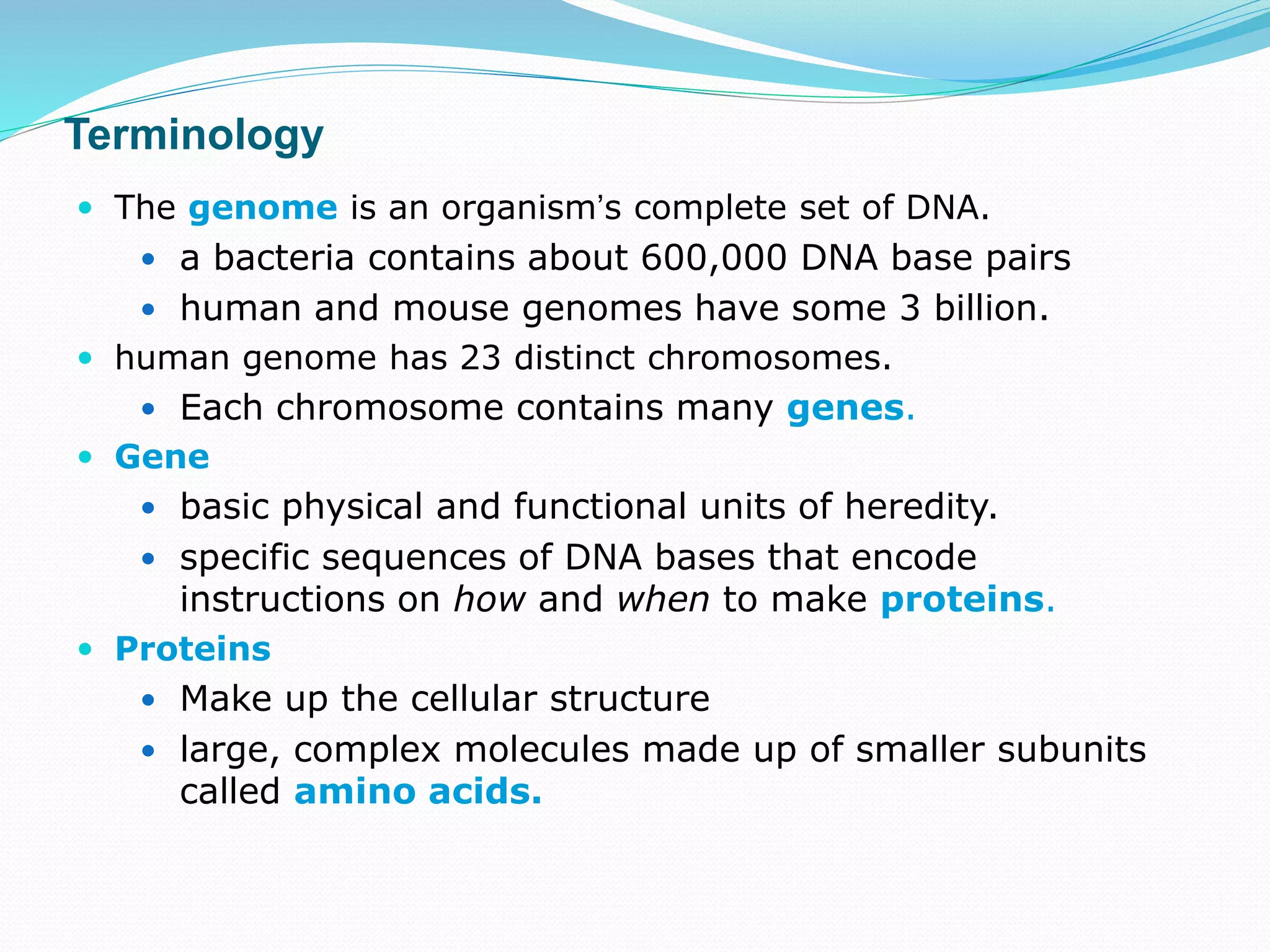 Terminology
 The genome is an organism’s complete set of DNA.
 a bacteria contains about 600,000 DNA base pairs
 human and mouse genomes have some 3 billion.
 human genome has 23 distinct chromosomes.
 Each chromosome contains many genes.
 Gene
 basic physical and functional units of heredity.
 specific sequences of DNA bases that encode
instructions on how and when to make proteins.
 Proteins
 Make up the cellular structure
 large, complex molecules made up of smaller subunits
called amino acids.
 