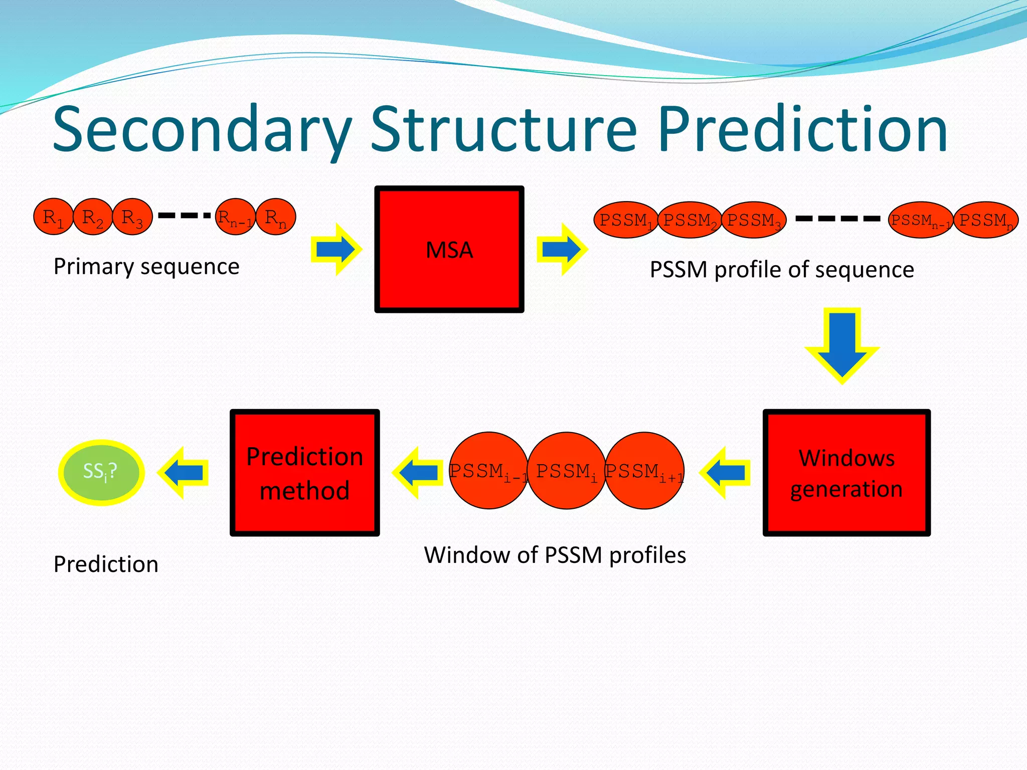 Secondary Structure Prediction
R1 R2 R3 Rn-1 Rn
Primary sequence
MSA
PSSM1 PSSM2 PSSM3 PSSMn-1 PSSMn
PSSM profile of sequence
Windows
generation
PSSMi-1 PSSMi PSSMi+1
Prediction
method
SSi?
Window of PSSM profilesPrediction
 