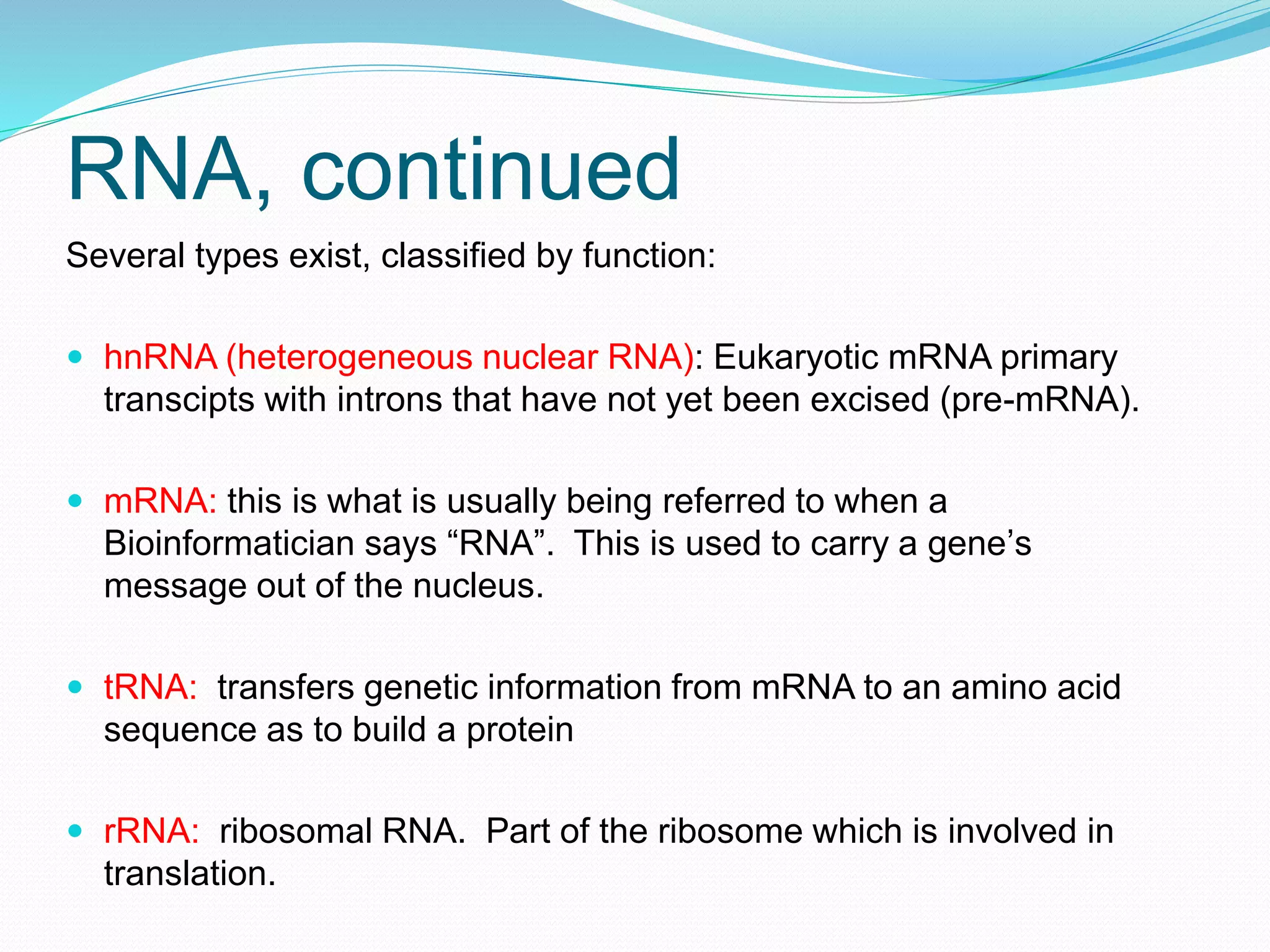 RNA, continued
Several types exist, classified by function:
 hnRNA (heterogeneous nuclear RNA): Eukaryotic mRNA primary
transcipts with introns that have not yet been excised (pre-mRNA).
 mRNA: this is what is usually being referred to when a
Bioinformatician says “RNA”. This is used to carry a gene’s
message out of the nucleus.
 tRNA: transfers genetic information from mRNA to an amino acid
sequence as to build a protein
 rRNA: ribosomal RNA. Part of the ribosome which is involved in
translation.
 