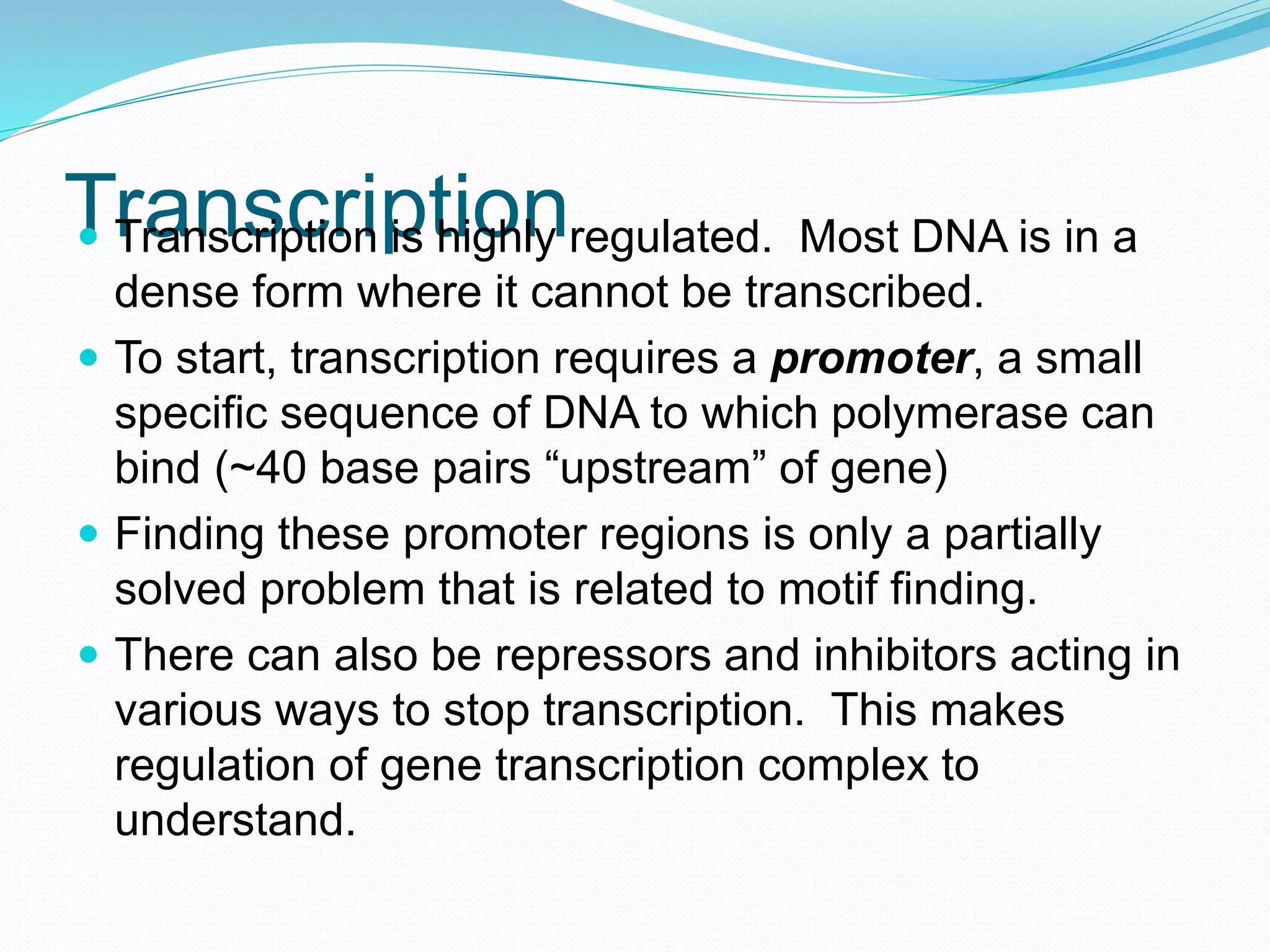 Transcription Transcription is highly regulated. Most DNA is in a
dense form where it cannot be transcribed.
 To start, transcription requires a promoter, a small
specific sequence of DNA to which polymerase can
bind (~40 base pairs “upstream” of gene)
 Finding these promoter regions is only a partially
solved problem that is related to motif finding.
 There can also be repressors and inhibitors acting in
various ways to stop transcription. This makes
regulation of gene transcription complex to
understand.
 